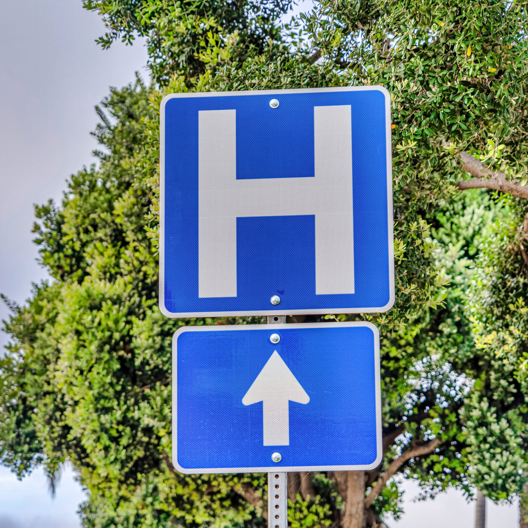 Road sign with tree and sky background with capital H for Hospital direction. Blue sign with arrow in San Diego California against clouds and foliage.